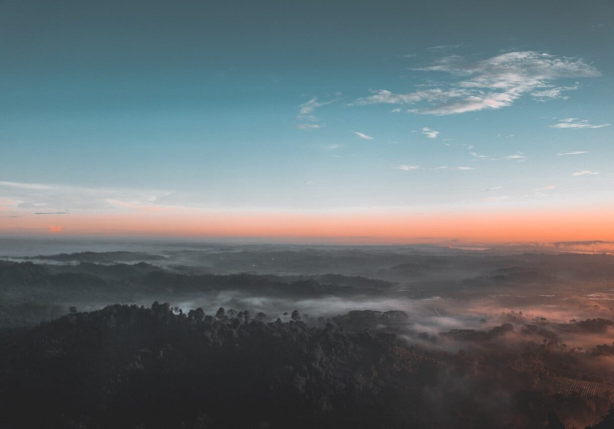 bird s eye view photography of green forest 1208379.jpg